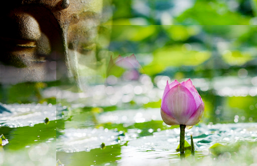 Chân đế - Tục đế với hiện tượng luận và bản thể luận Phật giáo